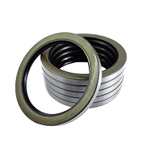 Rotary Seal SA
